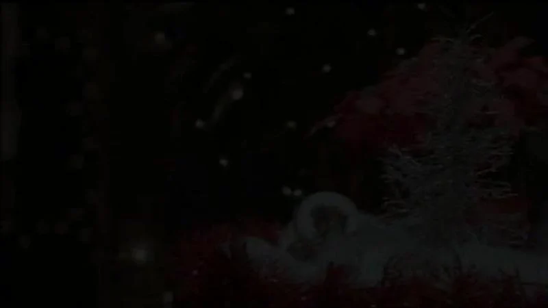 Кадры из сериала Элли МакБил (1997)